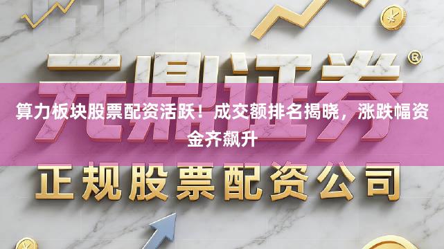 算力板块股票配资活跃!成交额排名揭晓,涨跌幅资金齐飙升