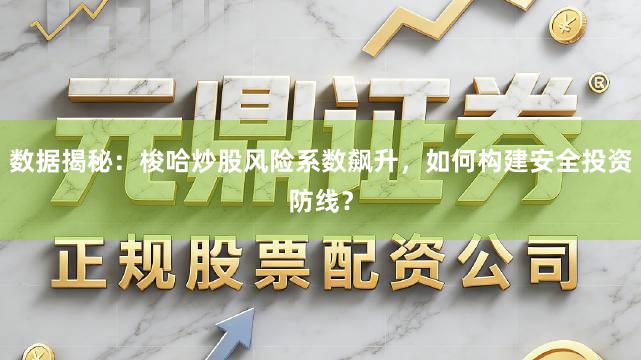 数据揭秘：梭哈炒股风险系数飙升，如何构建安全投资防线？