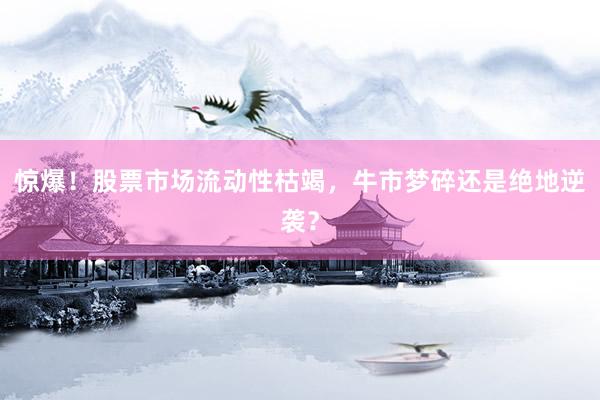 惊爆！股票市场流动性枯竭，牛市梦碎还是绝地逆袭？