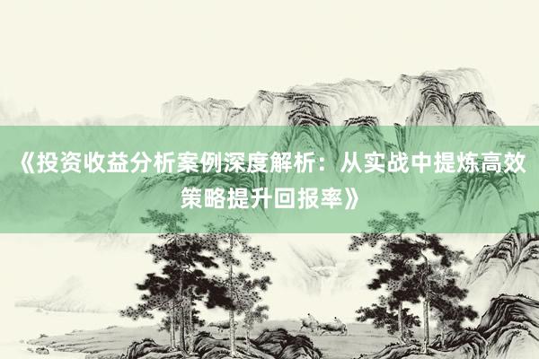 《投资收益分析案例深度解析：从实战中提炼高效策略提升回报率》