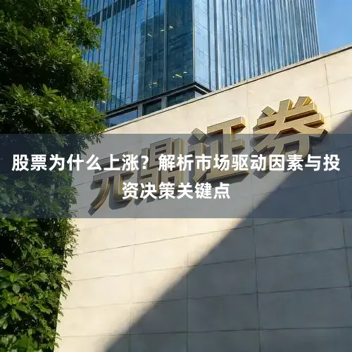 股票为什么上涨？解析市场驱动因素与投资决策关键点