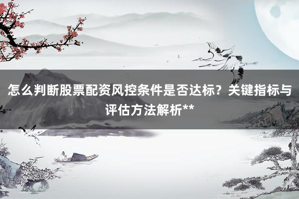 怎么判断股票配资风控条件是否达标？关键指标与评估方法解析**