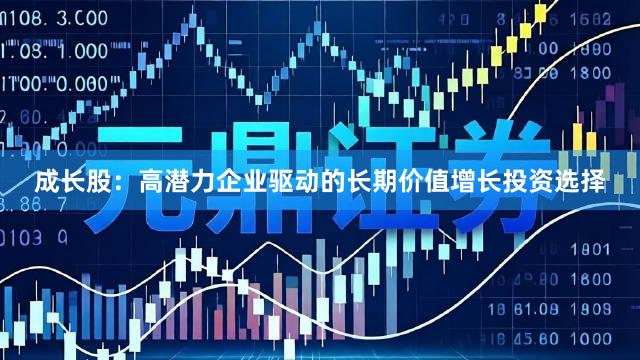成长股：高潜力企业驱动的长期价值增长投资选择