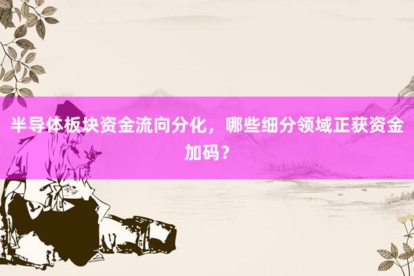 半导体板块资金流向分化，哪些细分领域正获资金加码？