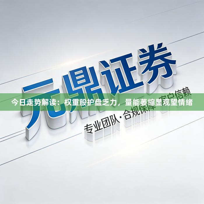 今日走势解读：权重股护盘乏力，量能萎缩显观望情绪