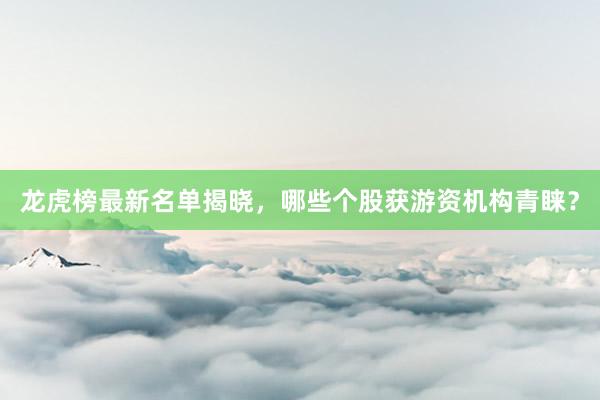 龙虎榜最新名单揭晓，哪些个股获游资机构青睐？